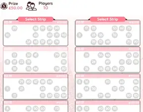 888 Ladies Bingo strips selection