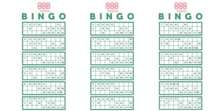 888 Ladies bingo cards samples