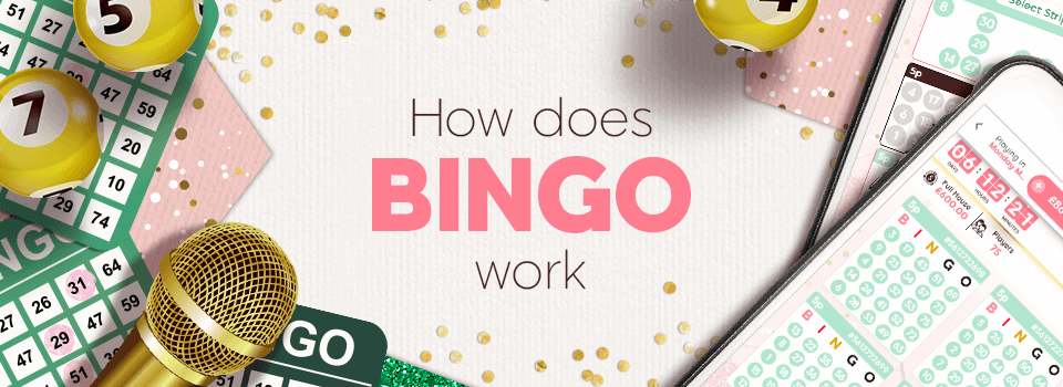 what do bingo cards look like?