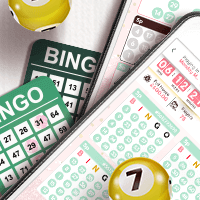 How does bingo work